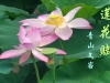 莲花赋 / 青山文客