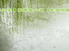 青玉案·暮雨青山湖（李清照体）/ 青山文客