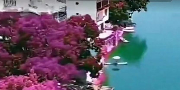 江畔盛景 / 邓坚才