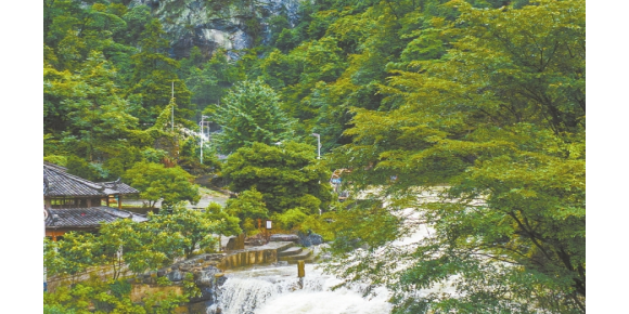 新化大熊山：寻一场秋日流云雾海  / 杨云辉