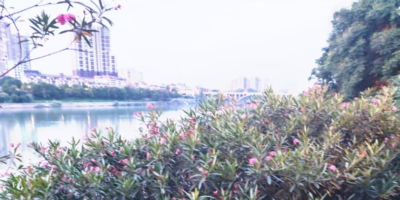 江畔暮色 / 邓坚才