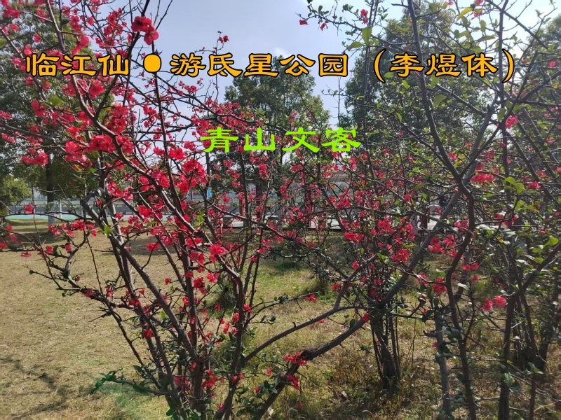 题目.jpg