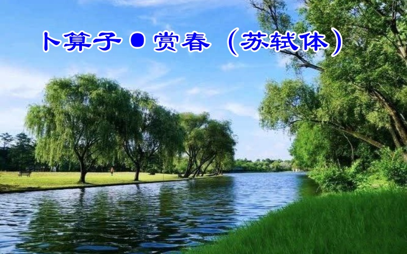卜算子·赏春（苏轼体）/ 青山文客