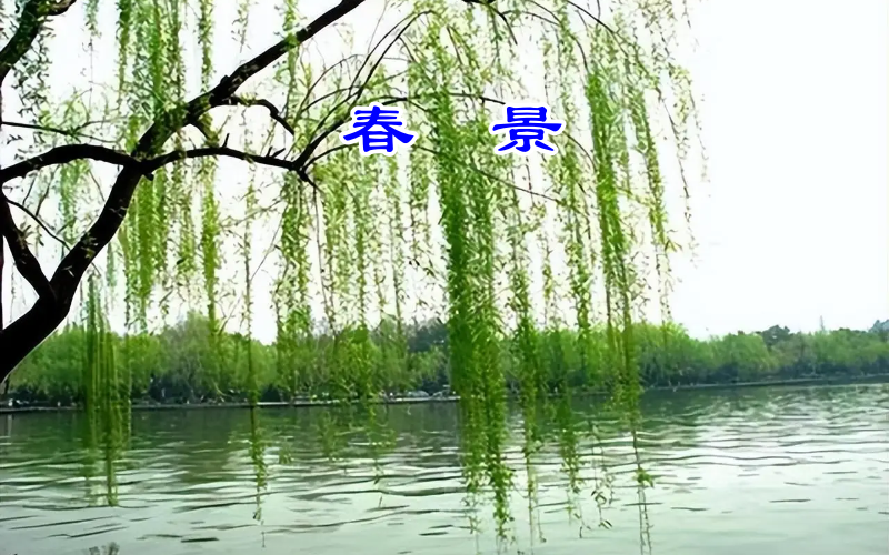 春柳_副本.png
