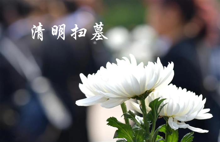 清明1_副本.png