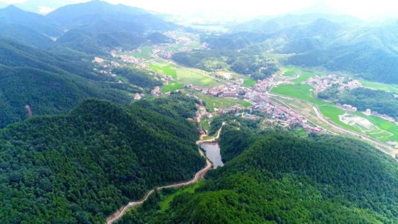 洪家山1.png