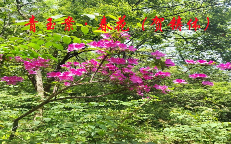 微信图片_20250418220801.jpg