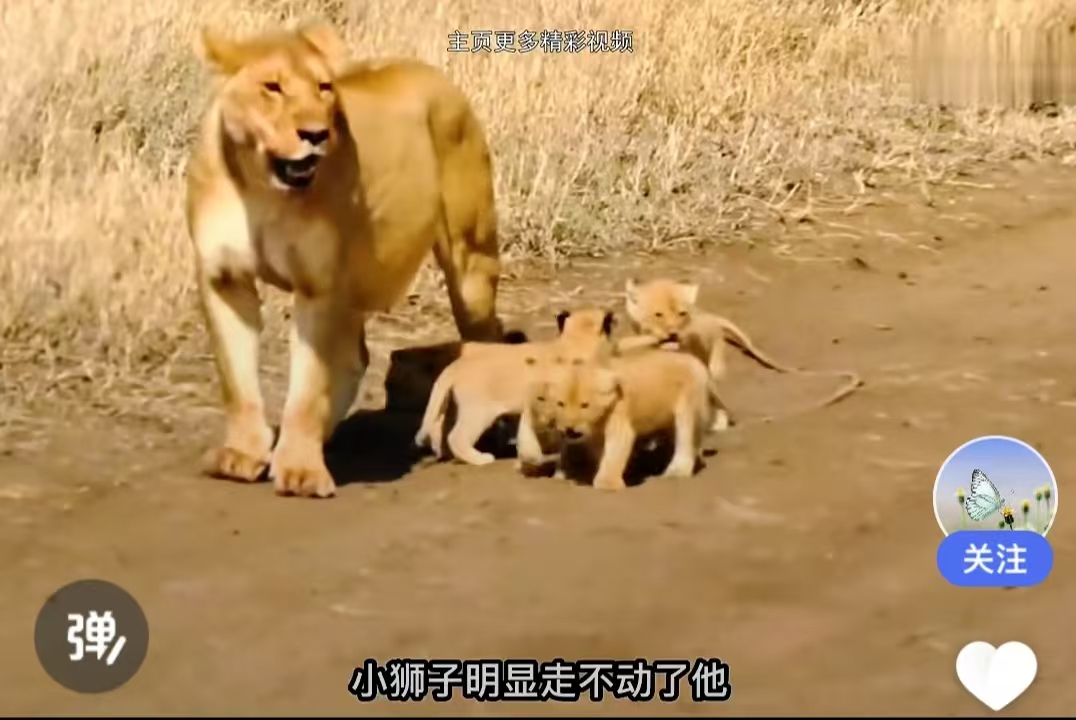 邓坚才.jpg