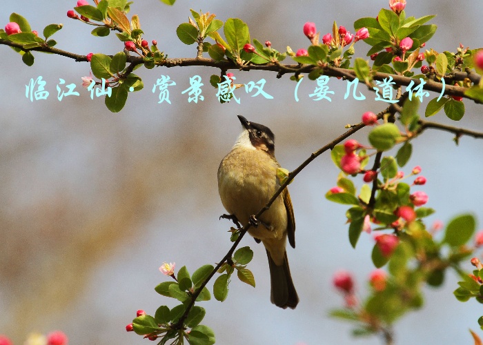 未命名.jpg