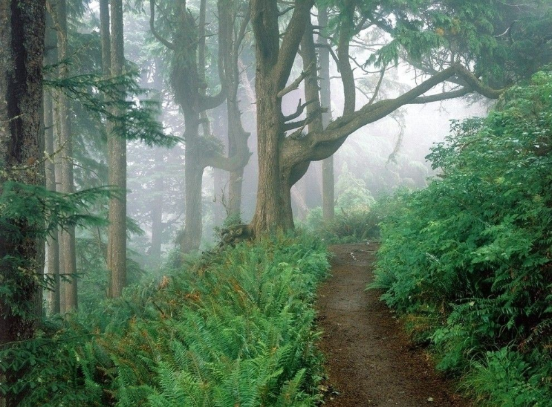 山路3.png