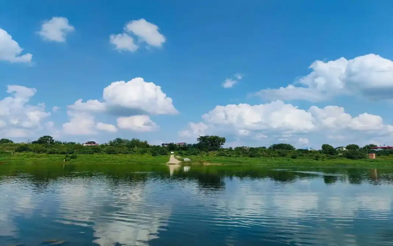 芳洲1.png