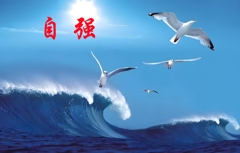 自强.png