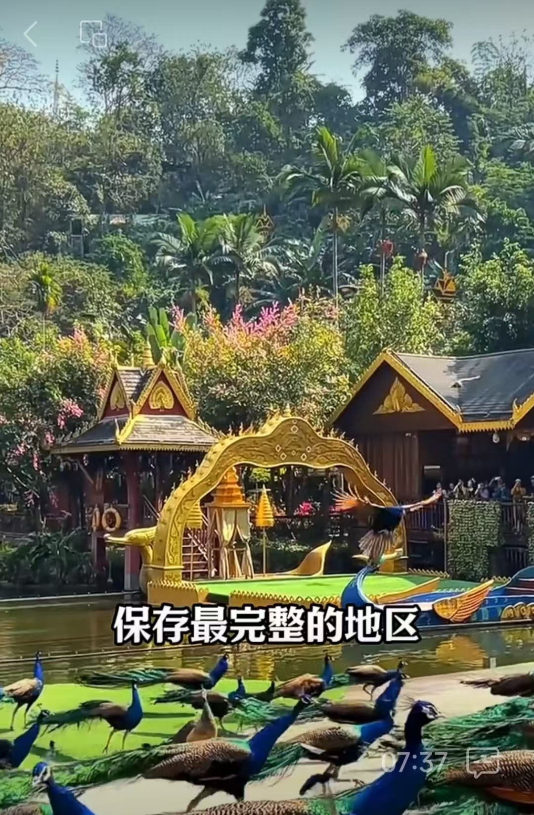 邓坚才.jpg