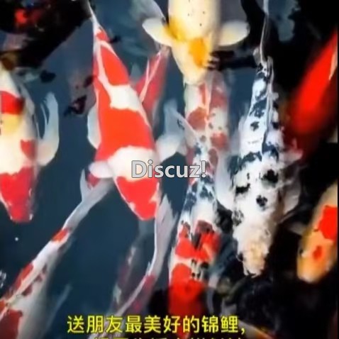 邓坚才.jpg