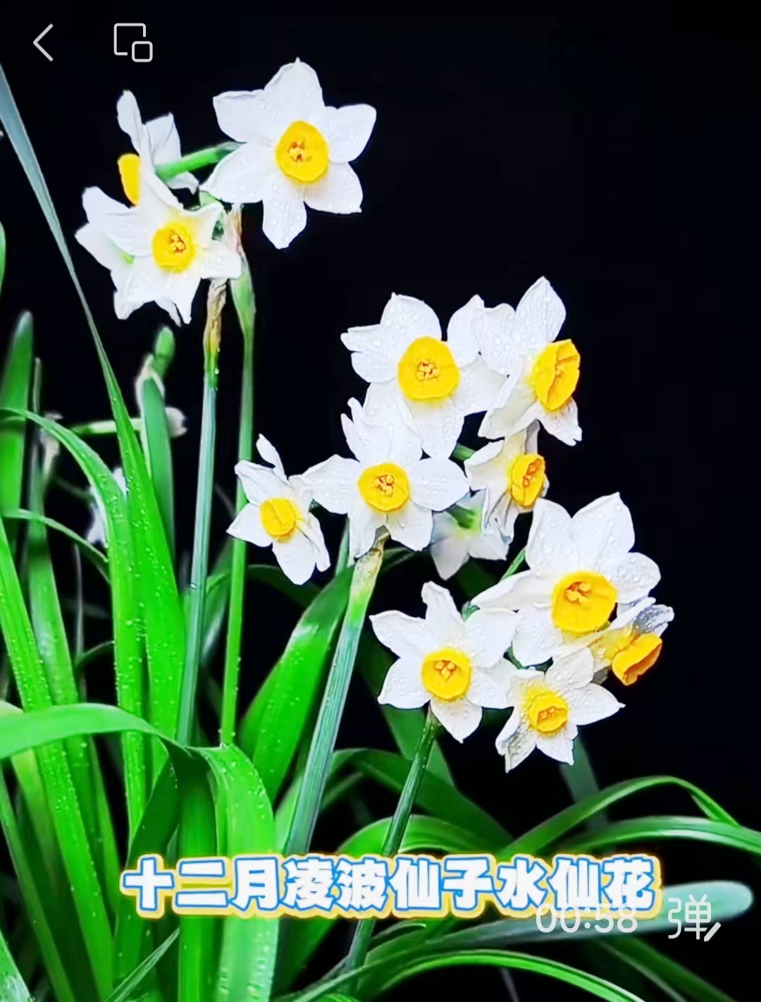 邓坚才.jpg