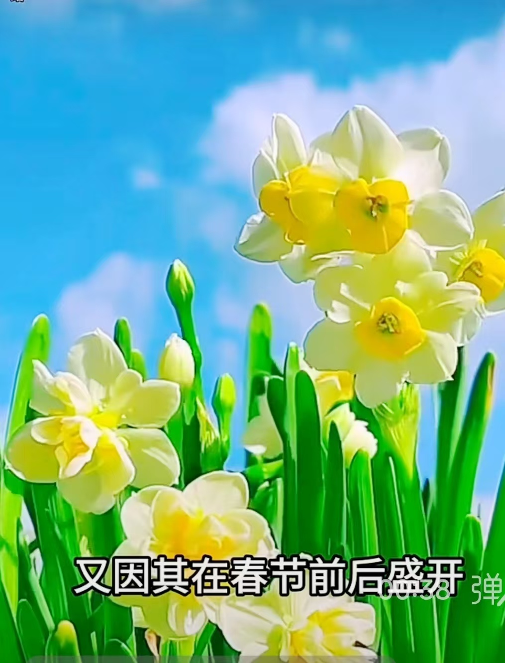 邓坚才.jpg