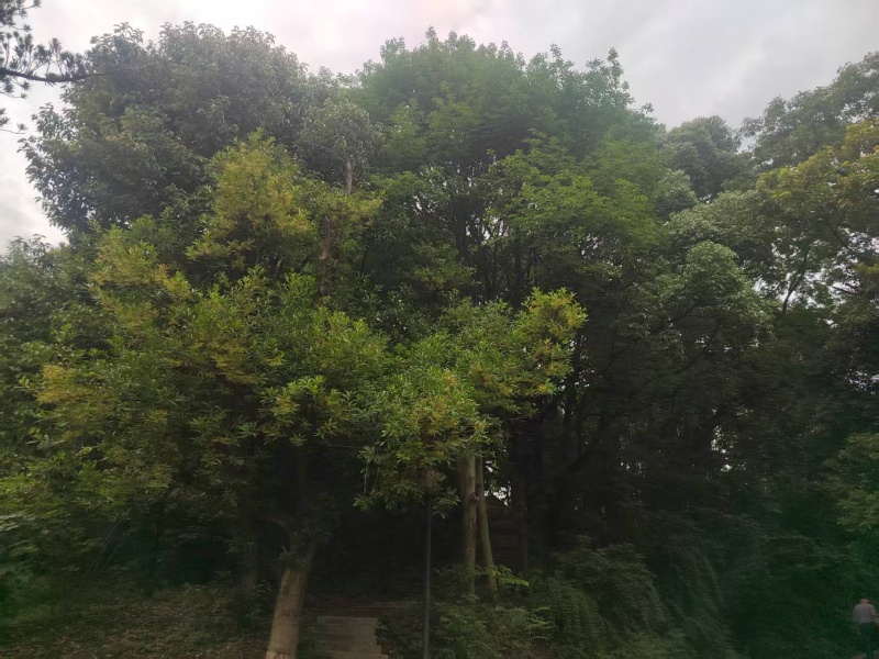 微信图片_20250627211758.jpg