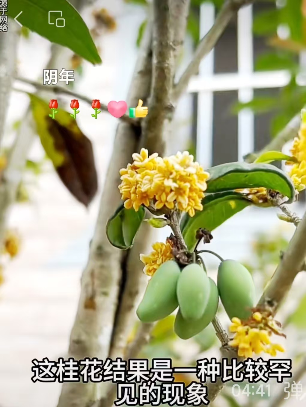 邓坚才.jpg