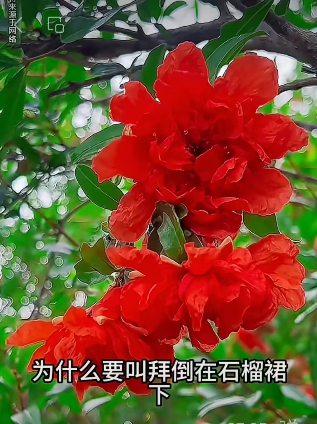 微信图片_20250630073653.jpg