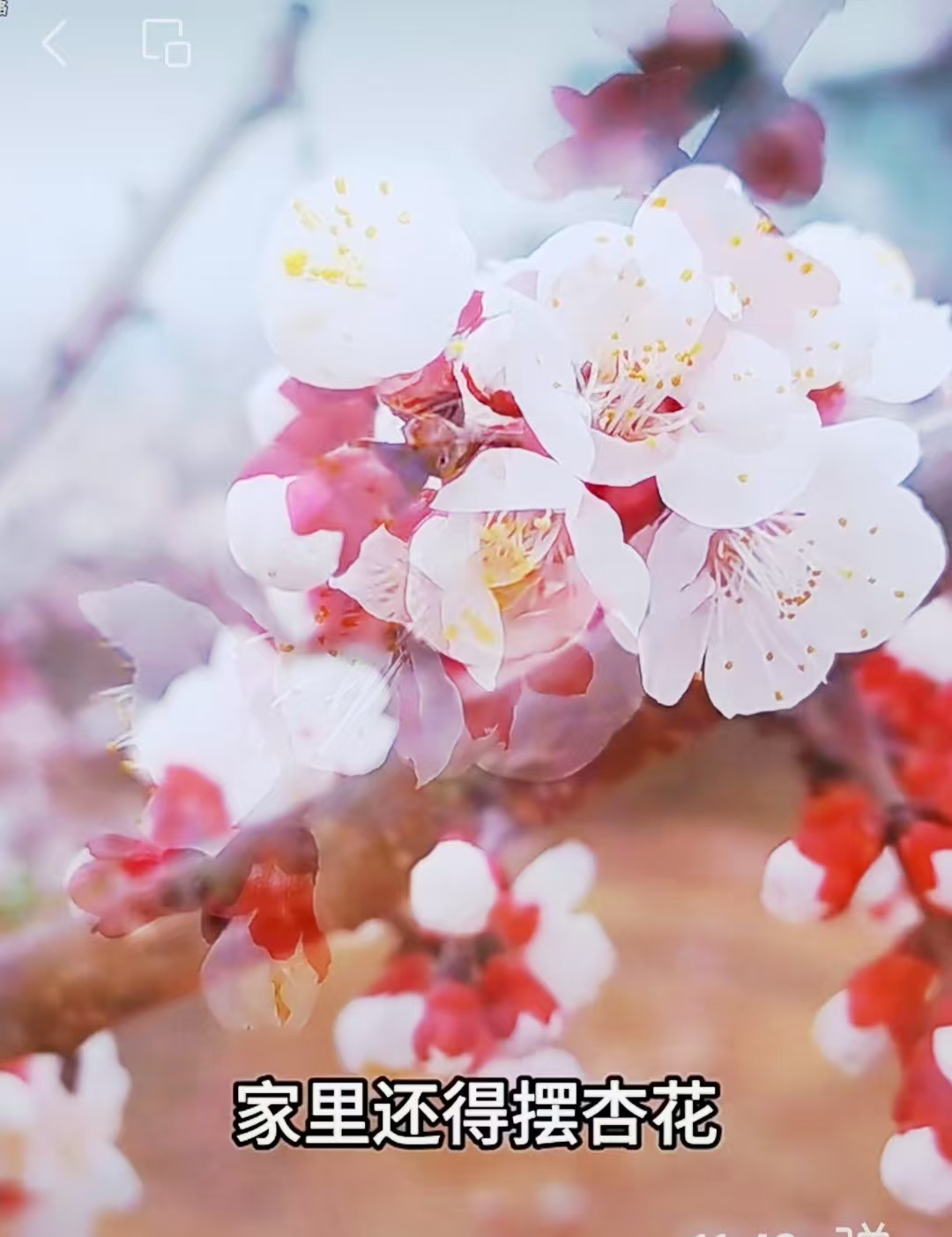 邓坚才.jpg