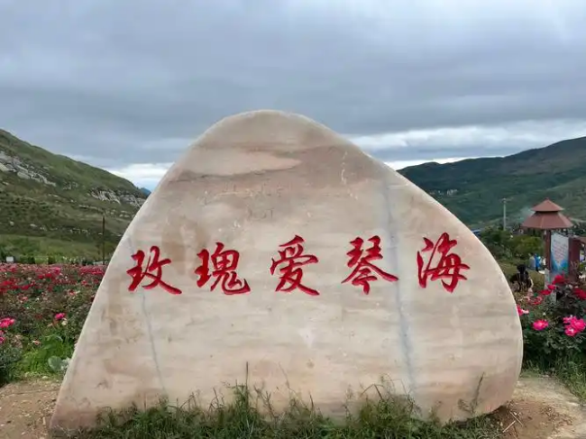 微信图片_20250629214013.png