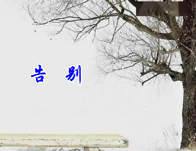 体1.png