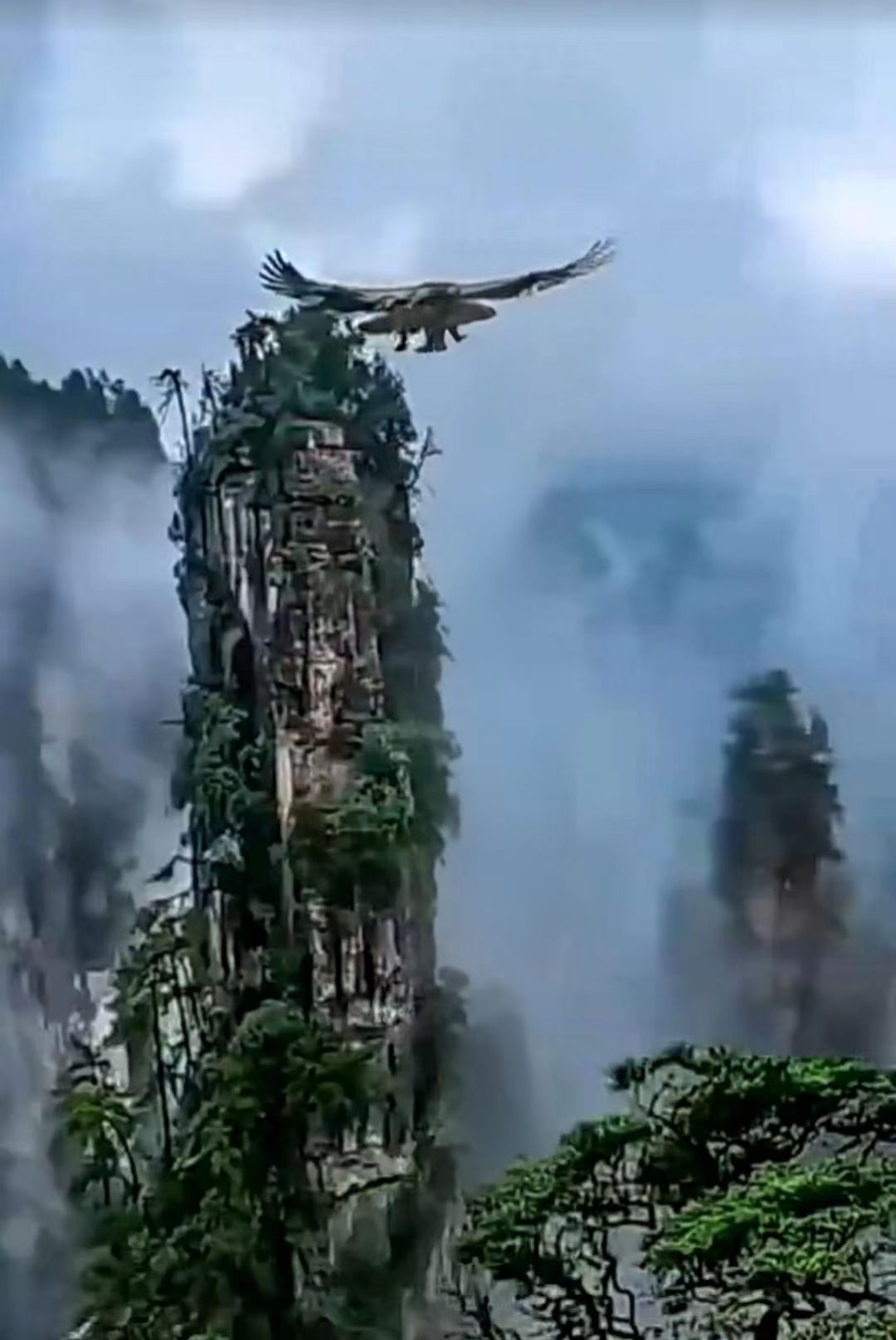 邓坚才.jpg